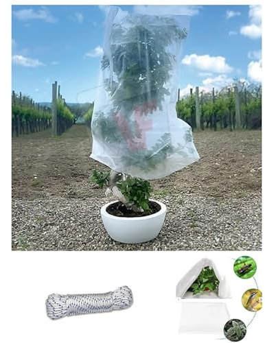 Pinto FERRAMENTA Telo Copri Piante Antigelo Invernale per Limoni Protettivo in TNT per Serra Orto e Balcone Contro Il Freddo Esterno per Fiori Ortaggi con 10mt Corda Omaggio (120X100CM PZ3)