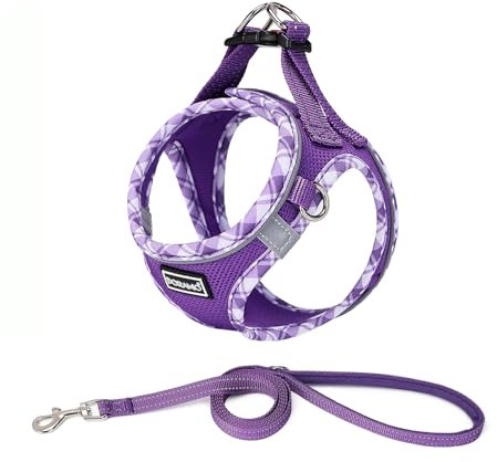 DORAMIO Step-in Dog Harness and Leash Set, No-Chock Soft Mesh Reflective Breathable Easy Walk Lightweight Vest Harnesses with Safety Buckle for Small Dogs, Cats, Puppies (XXS, Purple)