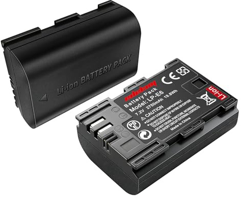 LP-E6 Lot de 2 batteries pour Canon EOS R5, R6 Mark II, R7, 5D Mark IV 2750 mAh