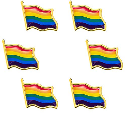 6 Packungen Gay Stolz Pin Regenbogen Pin gewellte Flagge Pin LGBT Abzeichen Revers Pin Brosche Metall Geschenk Regenbogen Flagge für LGBT Neuheit Geschenk Sammlerstück