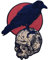 The Raven On The Skull Patch Embroidered Applique Badge Iron On Sew On Emblem