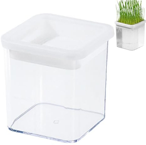 1/3-teiliges Katzenminze-Gras-Set – Katzengras-Anzuchtset, erdloser Katzengras-Topf | Pp Hydrokultur-Katzengras-Setzlings- und Sprossenschalen, transparentes Katzengras-Anzuchts, 3,5 x 3,54 x 3,9 Zoll