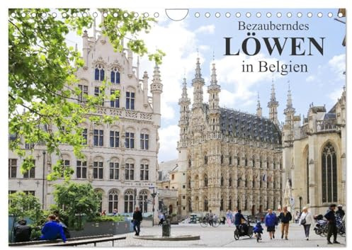 Bezauberndes Löwen in Belgien (Wandkalender 2026 DIN A4 quer), CALVENDO Monatskalender: Eine lebendige Universitätsstadt voller Geschichte, ... und pulsierendem Kulturleben (CALVENDO Orte)