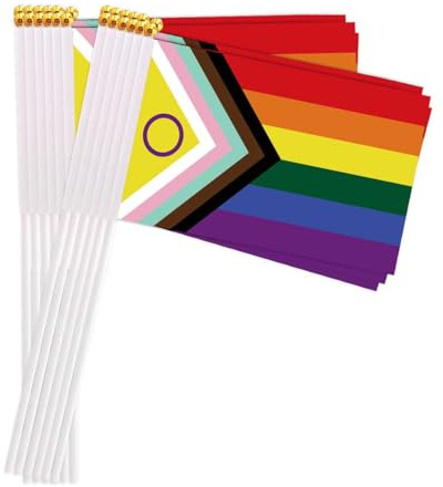 25 Packungen kleine Inklusive Regenbogen Flaggen auf Handheld Stick, Miniatur LGBTQ Flagge, 4x6 Zoll Mini Hand gehalten Banner mit goldenen Topper(Inclusive Rainbow)