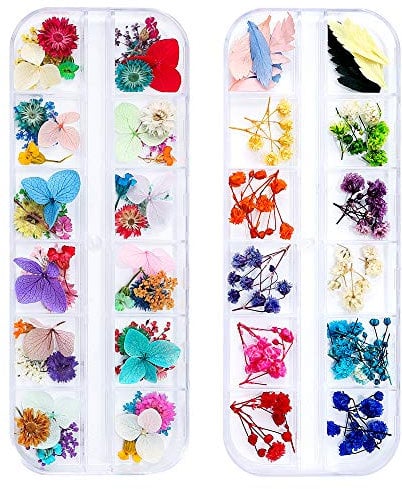 iFancer 108 Pcs Dried Flowers Nail Art 62 Colors 3D Dry Flowers for Nails 2 Boxes Small Tiny Dried Flowers for Nail Art Little Pressed Real Natural Flower Nail Art Design Decoration Supplies