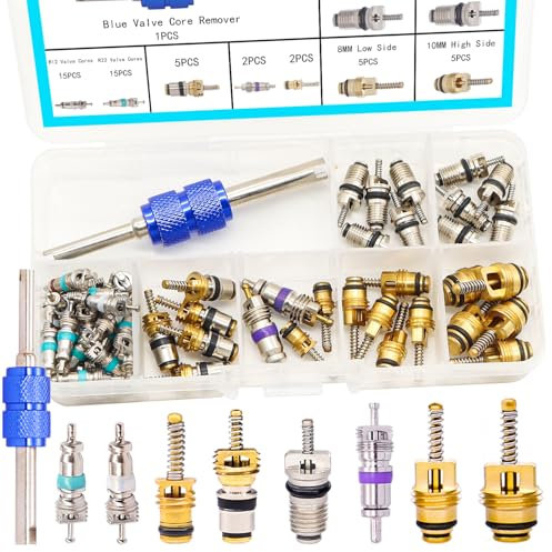 TWTADE 60 piezas de accesorios de núcleo de válvula de aire acondicionado de coche con kit surtido de herramientas de extracción R12 R134a Kit de reparación de núcleos de válvula de neumático de