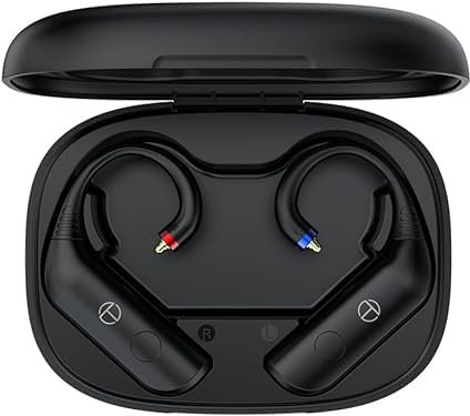 Fanmusic TRN BT20 Pro True Wireless Bluetooth 5.3 Kopfhörer-Modul, austauschbare Anschlüsse (Kopfhörer nicht im Lieferumfang enthalten) (MMCX)