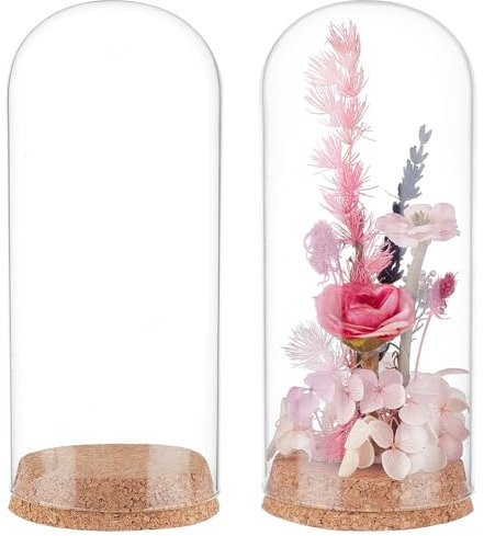 BENECREAT 2pcs Glass Display Dome Cloche 8x20cm, Glass Bell Jar with Cork Base Glass Bottles Decorative Jars for Flower Plants, Specimens, Crafts Decorations, ID: 7.5cm