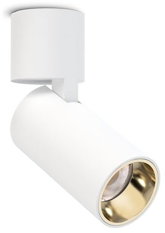 SSC-LUXon POSAO Deckenstrahler Innen 1-flammig 230V - LED Wandstrahler Aufbaustrahler LED schwenkbar 1750 Lumen 20 Watt warmweiß