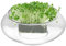 Wonsfuleu Acquario in, Grande Vaso per Idrocoltura e Fiori, Vaso Trasparente Per Idrocoltura Piante Grasse Centrotavola Decorazioni Interni Casa Fiori Bonsai