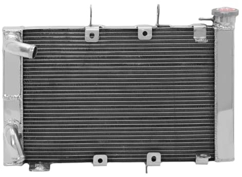 Compatible Con Triumph Para Trident 660 2020 2021 2022 Enfriador De Agua Núcleo De Aleación De Aluminio Pulido Tanques De Radiador De Enfriamiento Motor Motocicleta Radiador Moto Enfriamiento