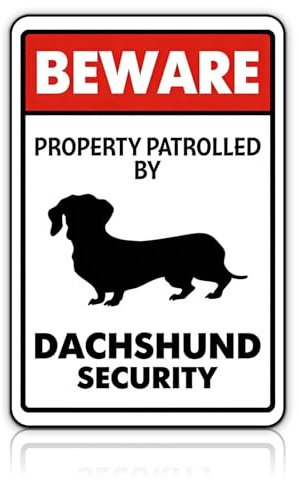 Dackel Thema Blechschilder Retro, Eisenmaterialien Retro Poster mit Dachshund-Motiv und Text Bedruckt, Dackel Geschenke für Dekoration, Lustige Schilder für Dackelliebhaber, Wand Deko, Wall Decor
