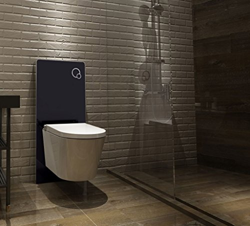 Sanitärmodul für Wand-WC (Schwarzglas)