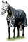 Amigo Bravo 12 Wug Heavy Turnout 81 Schwarz/Grau