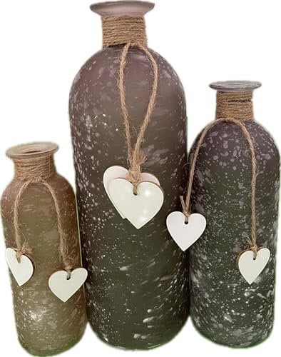 khevga Lot de 3 vases décoratifs en Verre satiné avec cœur