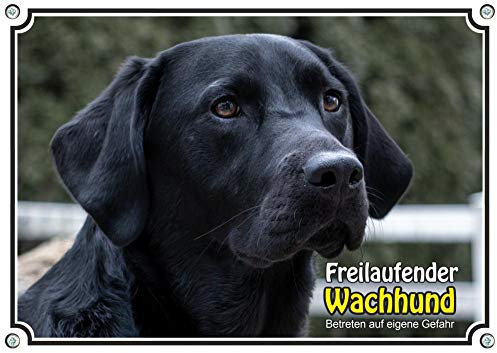 Hundeschild schwarzer Labrador Retriever Metallplatte in TOP Qualität, DIN A5