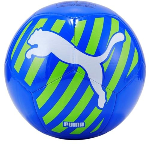 PUMA Großer Katzenball Trainingsbälle