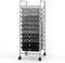 COSTWAY 10 Drawers Storage Trolley, Home Office Stationary Rolling Cart with 4 Wheels, Multipurpose Mobile Organiser Shelving Unit for Makeup Beauty Salon (Gradient Black)