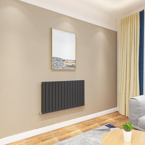Acezanble∣Flat Panel Radiator 600x1020mm Black Horizontal Double Column Radiator Central Heating Radiators Modern Designer Radiators