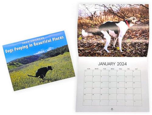 Vordpe Pooping Dogs Calendar 2024, Hund Pooping Wandkalender, Lustige Kackende Tiere Kalender, Wandkalender, Geschenk Für Freunde, Familie, Nachbarn