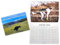 Vordpe Pooping Dogs Calendar 2024, Hund Pooping Wandkalender, Lustige Kackende Tiere Kalender, Wandkalender, Geschenk Für Freunde, Familie, Nachbarn