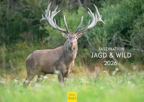 Edition Seidel Premium Kalender Faszination Jagd & Wild 2026 Format DIN A4 Wandkalender Tierkalender Tiere Schwein Ferkel Frischling Wildschwein heimische Säugetiere