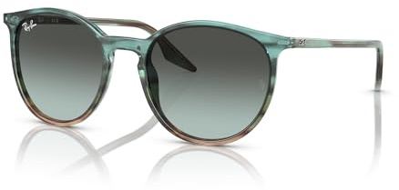 Ray-Ban Runde Sonnenbrille Rb2204