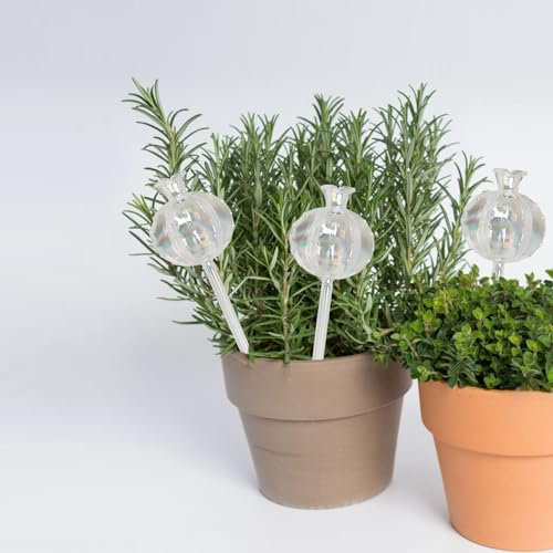 Yuecuu Glas Bewässerungskugeln, 3 Stück Topfpflanzen Gießkugeln Urlaub Automatische Tropf Bewässerungsgerät für Indoor Outdoor Pflanzen