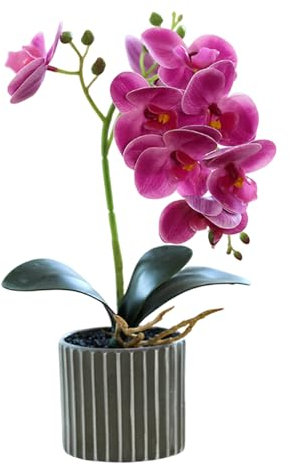 eurNhrN 12,6 Zoll hohe realistische künstliche Orchidee in einem Topf Real Touch Decorative Bonsai gefälschte Blumen für Tisch Mittelstücke Wohnzimmer Wohnkultur Lila Lila