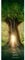 Türtapete selbstklebend TürPoster 3D Bewirken Fototapete Türfolie Poster Tapete Abnehmbar Wandtapete für Wohnzimmer Küche Schlafzimmer 77X200cm (Stufenleiter Baum)