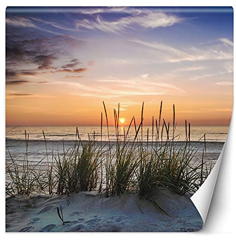 Feeby Vlies Fototapete Sonnenuntergang Am Strand 150x150 cm Orange Tapeten Wandekoration Wohnzimmer Schlafzimmer Büro Flur Meer Himmel Gras Sand