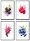 MJ-Graphics - Poster Set Früchte für Küche & Wohnzimmer - 4 Wandbilder Din A4 extra dickes Posterpapier - Obst-Motiv Bilder ohne Rahmen
