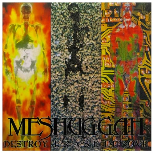 Destroy Erase Improve