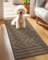 Biscpro Schmutzfangmatte Innen Lang 50x120cm,Waschbarer rutschfeste Fußmatte Wasserabsorbierenden Sauberlaufmatte Teppich Läufer Flur,Fussmatte für Hund,Eingang,Flur,Küchen-Latte