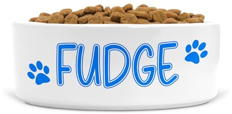 Personalised Ceramic Dog Bowl Custom with Name 2 Paw Prints, Size Small-Medium Dogs (Blue print, Text Style WD)