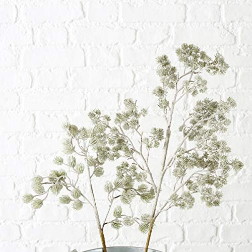 condecoro Dekozweig Kiefer, 2er Set, Tanne, H 48 cm, grün