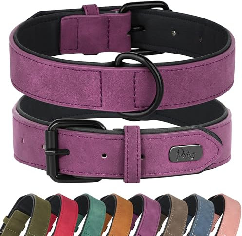 Didog Hundehalsband aus weichem, gepolstertem Leder, atmungsaktives, strapazierfähiges Hundehalsband aus Leder mit Verstellbarer rostfreier Metallschnalle für mittelgroße und große Hunde, Lila, M