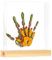 Tiny Love Familienabdrücke, Individualisierbares Handabdruck Set Familie, DIY-Erinnerungsrahmen Holz, Dermatologisch Getestet, Geschenk Neugeborene, Babyparty Geschenk, All-in-One-Set, Tiny Creations