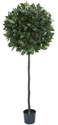 GreenBrokers Artificial Premium Quality Bay Tree 5 ft/150 cm, Green