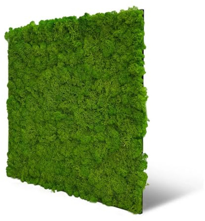 JANGAL Modular Wall Nature Moos Paneel (52 x 52 cm), Modulares Wandpaneel, mit recyceltem PET-Filz, zum Kleben oder Schrauben, Wandverkleidung, Wand Deko, Mooswand (Bright Green Moos)