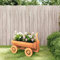 Casa & Giardino, Prato e Giardino, Giardinaggio, Giardinaggio, Carriola, Carriola, Carriola, Decorazione per la casa, 70 x 43 x 54 cm, Abete in legno massello