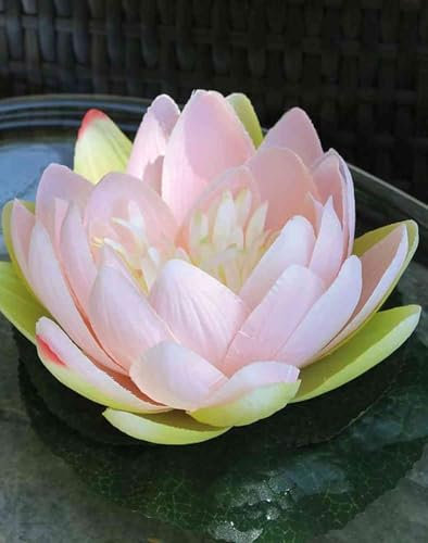 artplants.de Deko Seerose Safina, schwimmend, zartrosa, 7cm, Ø15cm - Künstliche Seerose