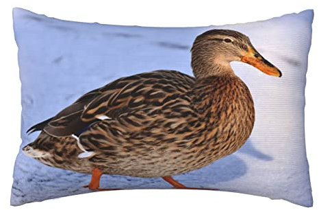 Kissenbezug Stockente Wildente Wasser Vogel Natur Tier Winter Schnee Design Kissen Bezug Superweicher Kopfkissenbezug Premium Kissenbezüge Für Couch ​Bank Schlafzimmer Wohnzimmer 40x60 cm