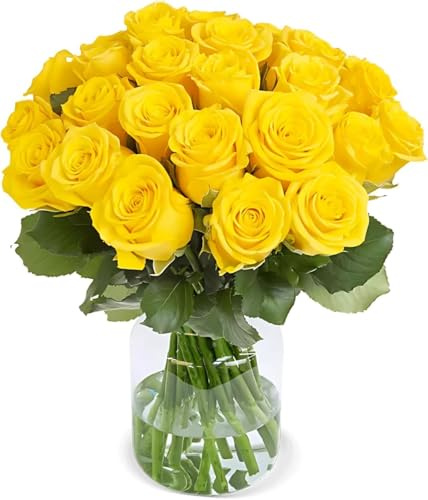 Blume Ideal Rosenstrauß - 15 Rosen - Gelb - Ø 40–50 cm - Echte premium Blumen für Hochzeit & Deko - 7 Tage Frischegarantie - in verschiedenen Farben und Mengen
