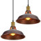 TOKIUS Retro Pendelleuchte, Ø27cm Hängelampe Vintage Industrial Style Metall Deckenleuchte E27 Fassung Hängeleuchte für Esszimmer Küche Restaurant (Rost Kupfer, 2 Stücke)