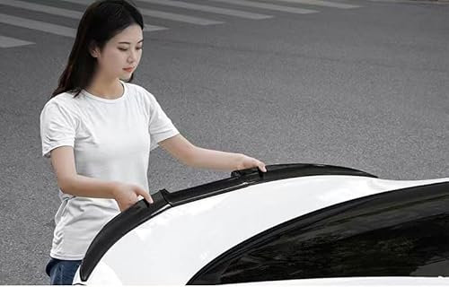 Auto Heckspoiler,Universal für Opel Astra-G Astra-H Astra-J Astra-K Astra-L Insignia Karl 95% der Autos,Heckspoiler Flügel Lippe,Kofferraumspoiler,style2(138 * 6cm)