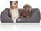 Knuffelwuff Orthopädisches Wasserabweisendes Hundebett Malou aus Velours mit Handwebcharakter XXL 120 x 85cm Grau - Abnehmbarer Bezug - waschbar - für große, mittelgroße und kleine Hunde