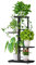 Decdeal 1 Espositore per Piante in Metallo, Scaffale per Vasi da Fiori 4 Livelli 5 Vasi,Supporto per Fiori,Scaffale Porta per Piante,per Balcone Interni Esterno