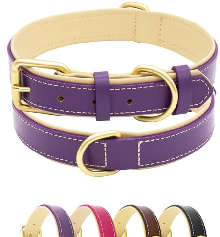 Furry friends Hundehalsband Leder, Robust Echtes Lederhalsband, Weich Gepolstert Hundehalsband für Großen, Mittelgroße und Kleinen Hund(Lila, S- 28-38cm)