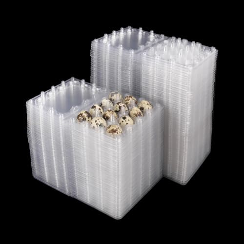 KUKLIPJIM 250 Pack Quail Egg Cartons, Clear Plastic Quail Egg Trays, Holds up to 12 Quail Eggs Securely - Your Ultimate Small Eggs Carton Holders for Bulk Storage and Display
